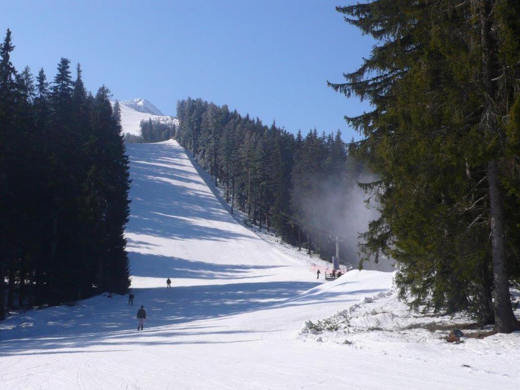 Chalet White Fang Μπάνσκο Εξωτερικό φωτογραφία